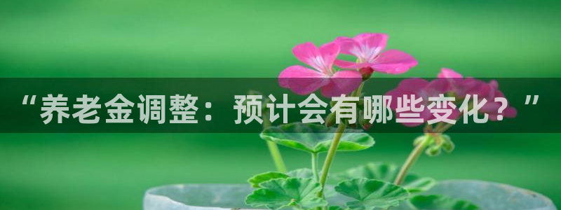 聚彩堂开奖结果查询：“养老金调整：预计会有哪些变化？”