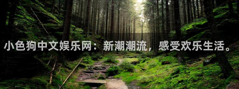 精聚彩研画材(上海)有限公司：小色狗中文娱乐网：新潮潮流，感受欢乐生活。