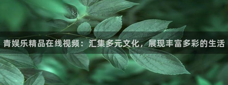 聚彩堂资料免费大全：青娱乐精品在线视频：汇集多元文化，展现丰富多彩的生活