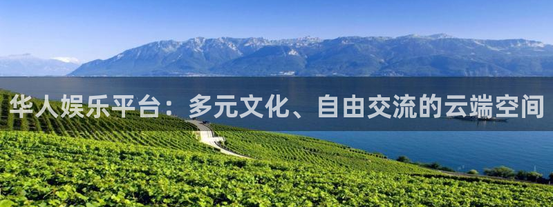 深圳聚彩科技：华人娱乐平台：多元文化、自由交流的云端空间