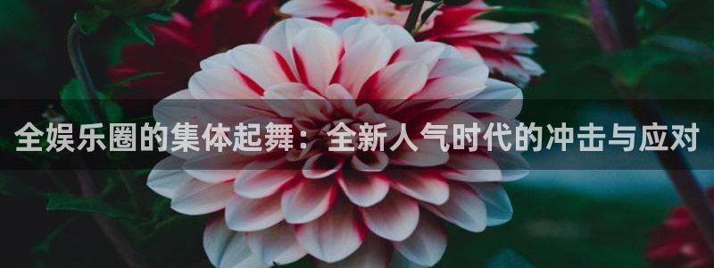 聚彩welcome大厅购彩官网：全娱乐圈的集体起舞：全新人气时代的冲击与应对