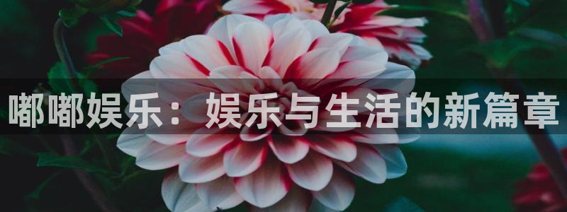 聚彩印务：嘟嘟娱乐：娱乐与生活的新篇章