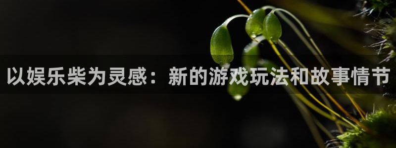 聚彩app官方入口：以娱乐柴为灵感：新的游戏玩法和故事情节