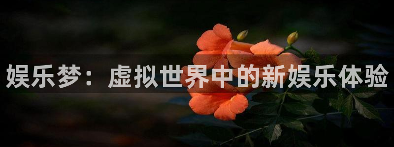 聚彩电子：娱乐梦：虚拟世界中的新娱乐体验