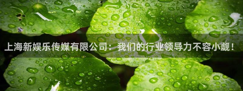 聚彩堂高手论坛官网入口网址：上海新娱乐传媒有限公司：我们的行业领导力不容小觑！