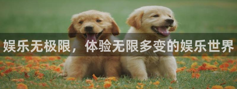 娱乐无极限，体验无限多变的娱乐世界