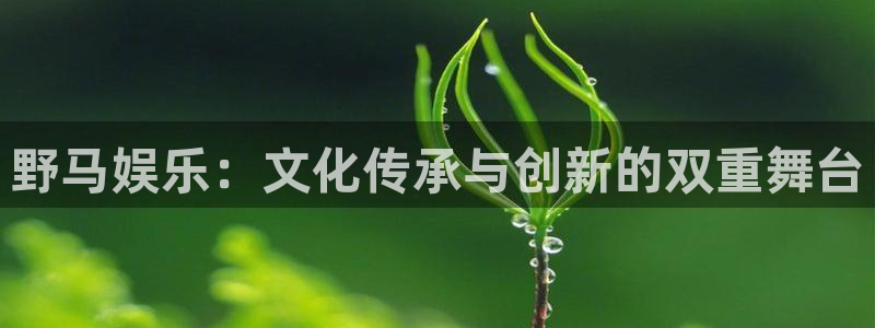 聚彩堂开奖结果查询：野马娱乐：文化传承与创新的双重舞台