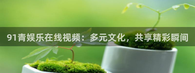 聚彩电器：91青娱乐在线视频：多元文化，共享精彩瞬间