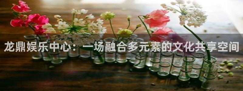 聚彩堂资料：龙鼎娱乐中心：一场融合多元素的文化共享空间