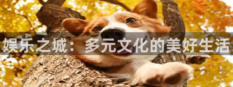 聚彩公司：娱乐之城：多元文化的美好生活